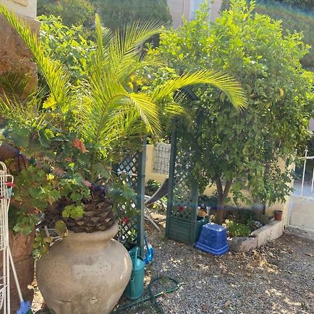 Saint-RaphaëlJardin D'Eden公寓 外观 照片
